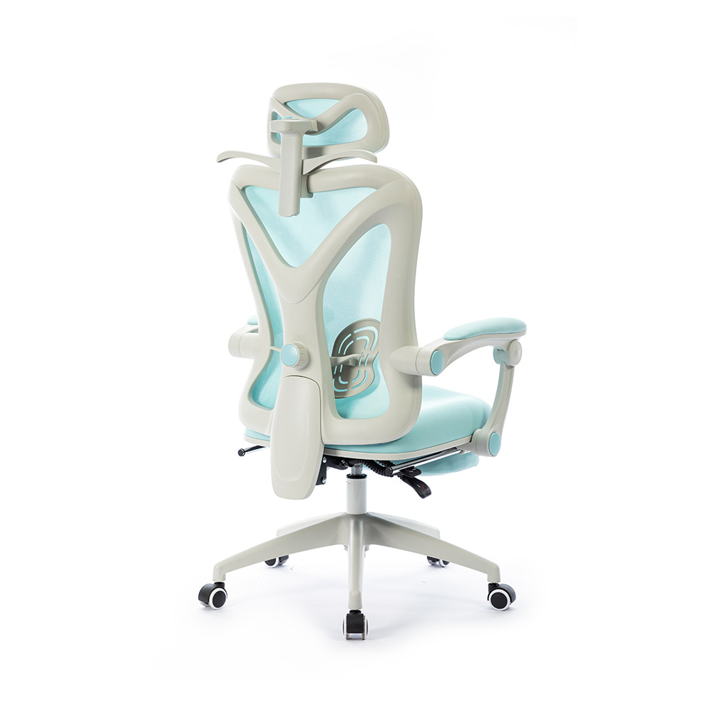 Adjustable Ergonomic Work Chair Mesh Office Chair