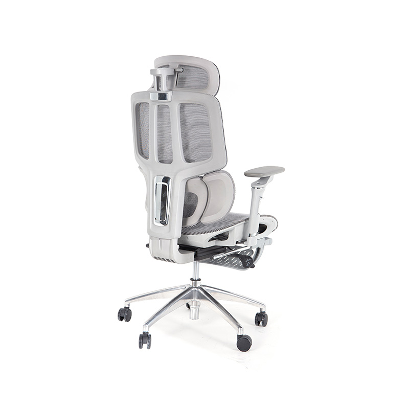 Ergonomic Office Chair na may 3D Armrests Dynamic Lumbar Support